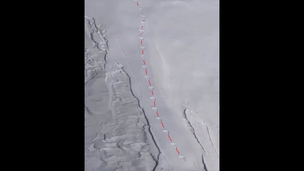 Bigfoot Captured on Video then Helicopter Goes to Location & Films Sasquatch Trackway - YouTube
